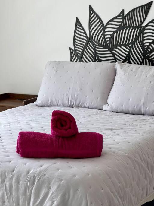 Hermoso Y Comodo Departamento 5 En Ir21 Apartment *